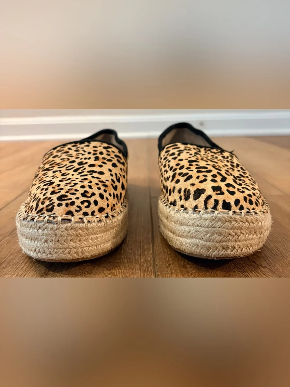 Gianni Bini women size